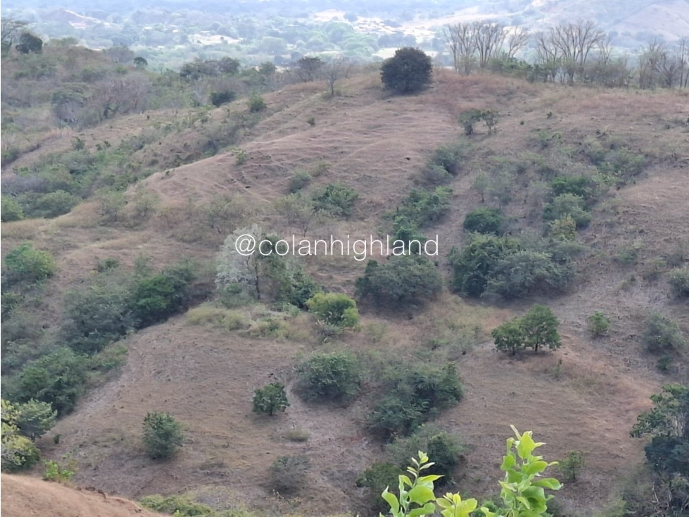 Se Vende Finca en Santa Marta, Las Tablas - 3