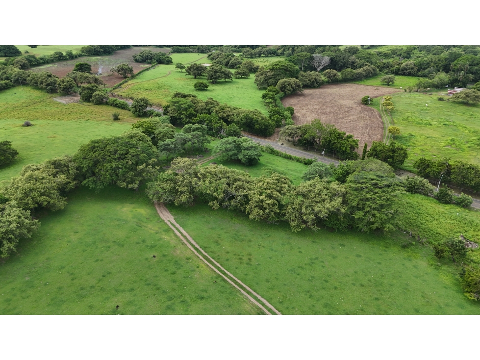 Se Vende Finca en 9.8 Has Via Playa El Uverito, Las Tablas - 4