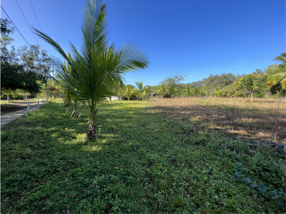 SE VENDE terreno con cabaña en Isla de Cañas, Los Santos - 2