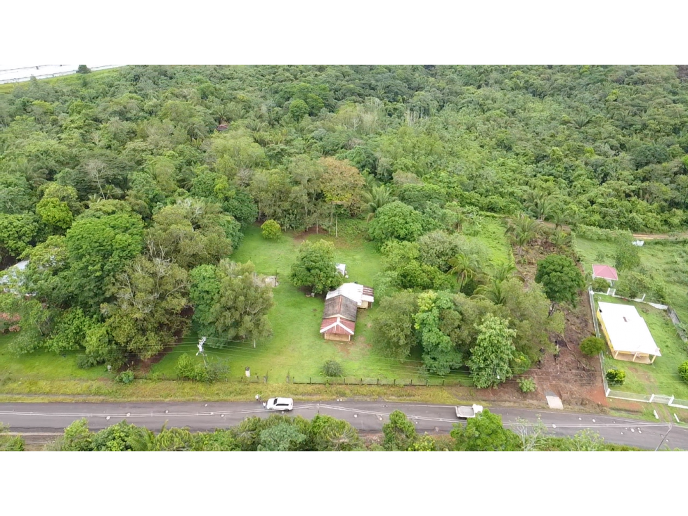 Se Vende Terreno de 8,000m2 en Altos del Espavé, La Chorrera — foto 4