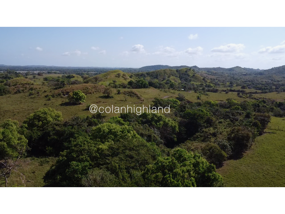 Se Vende Finca de Finca Ganadera de 308.5 ha. en Los Llanos de Ocú - 4