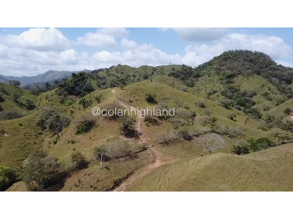 Se Vende Finca 1,731 hectáreas en Macaracas, Los Santos - 5