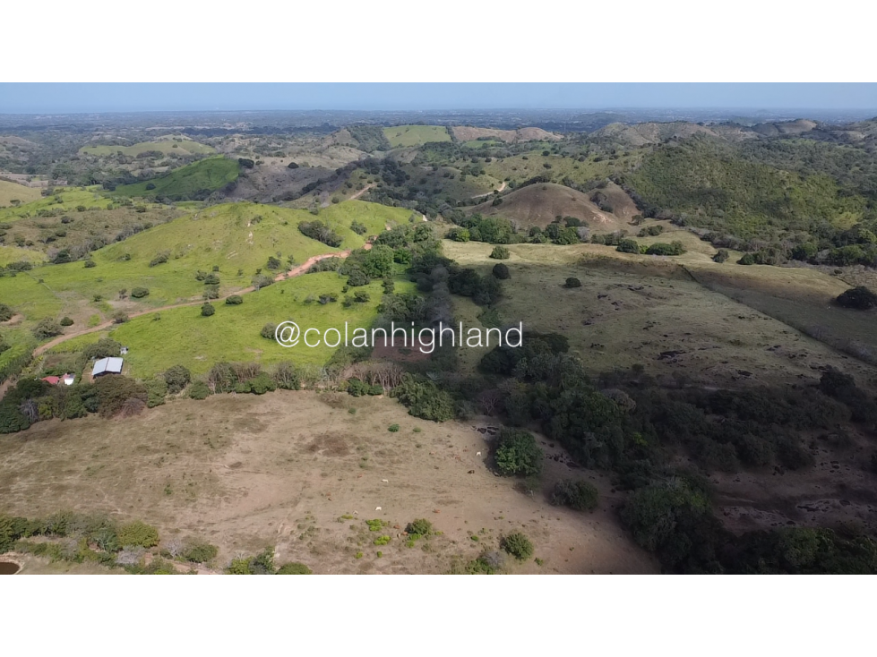 Se Vende Finca Ganadera en Llano Largo, Los Santos - 5