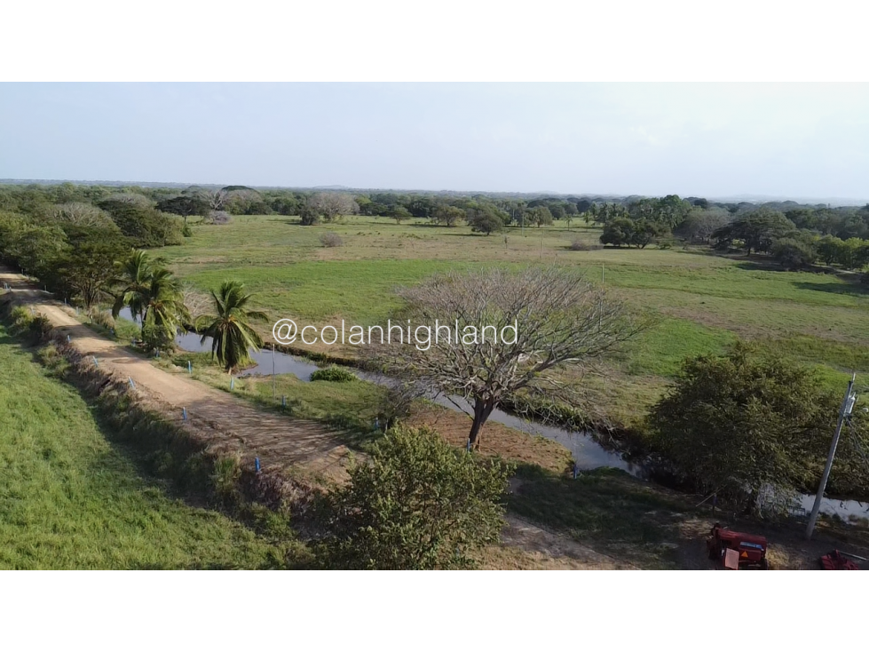 Se Vende Finca de 174.4 Hectareas en La Villa de Los Santos - 6