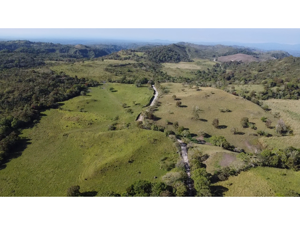 Se Vende Finca de 220 Hectareas en Volcán, Chiriquí MLS# 22066 - 5