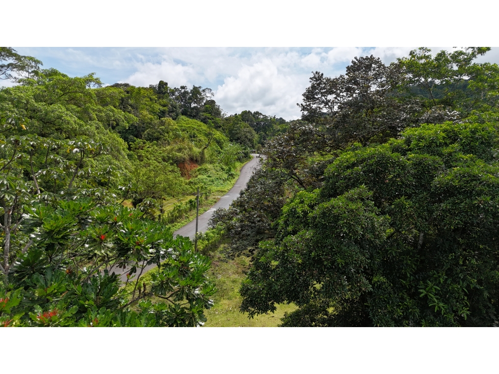 Se Vende Finca en Coclesito, La Pintada, Penonomé MLS23482 - 4
