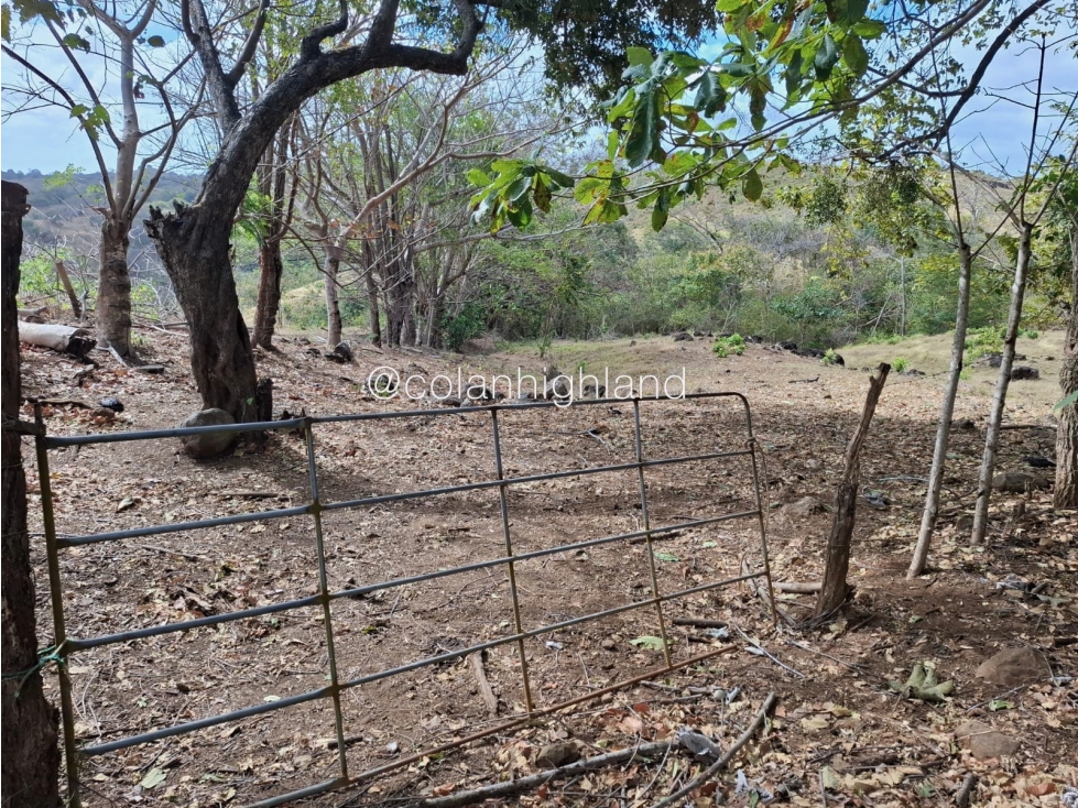 Se Vende Finca en Santa Marta, Las Tablas - 4