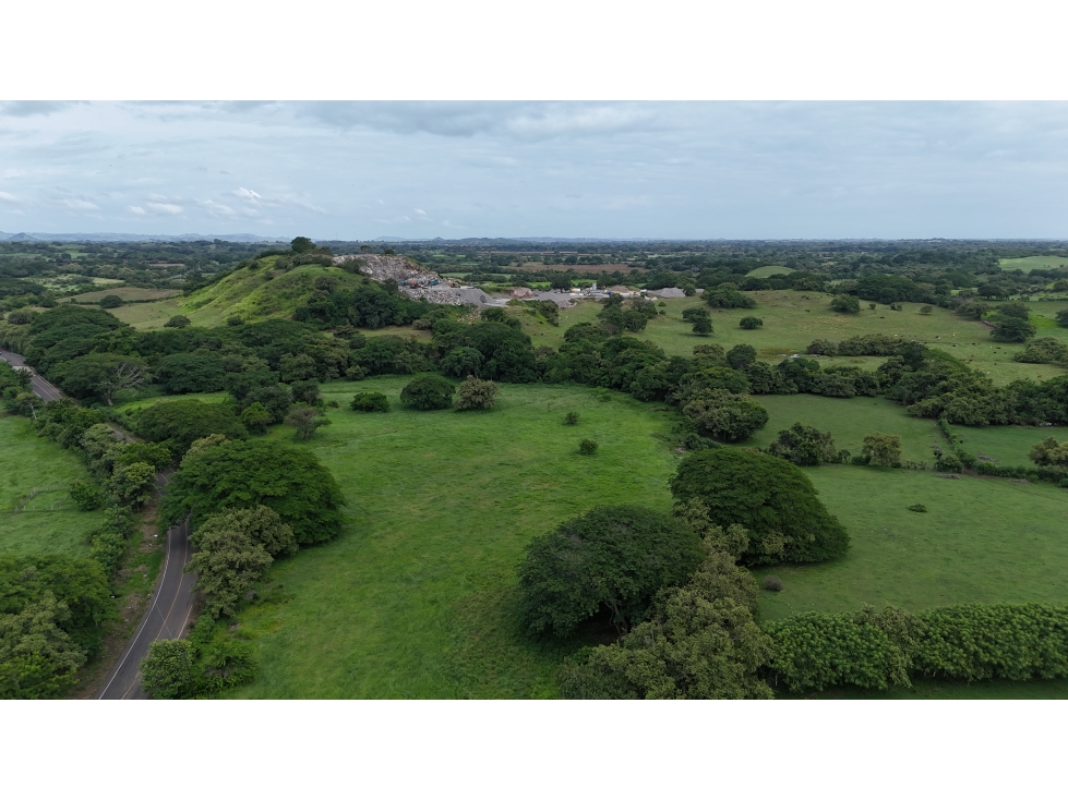 Se Vende Finca en 9.8 Has Via Playa El Uverito, Las Tablas - 5
