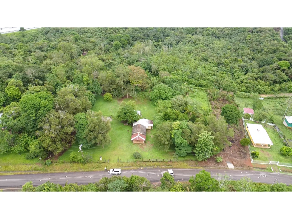 Se Vende Terreno de 8,000m2 en Altos del Espavé, La Chorrera — foto 5