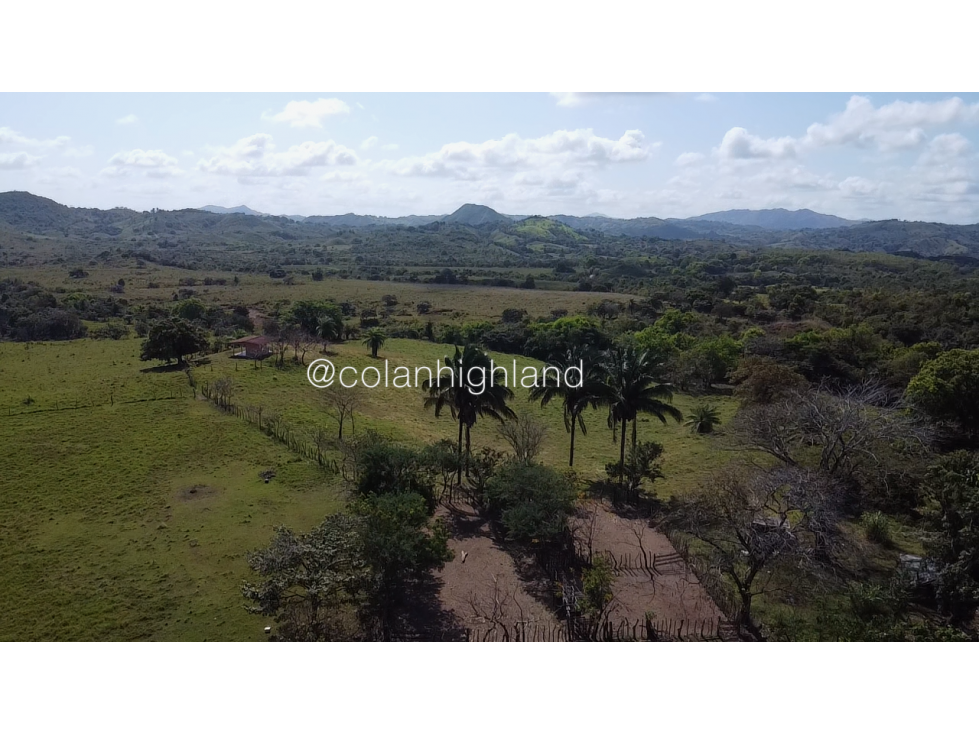 Se Vende Finca de Finca Ganadera de 308.5 ha. en Los Llanos de Ocú - 5