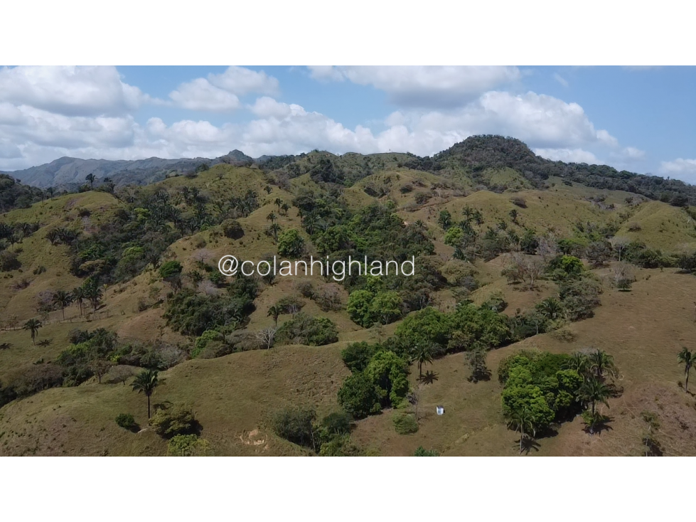 Se Vende Finca 1,731 hectáreas en Macaracas, Los Santos - 6