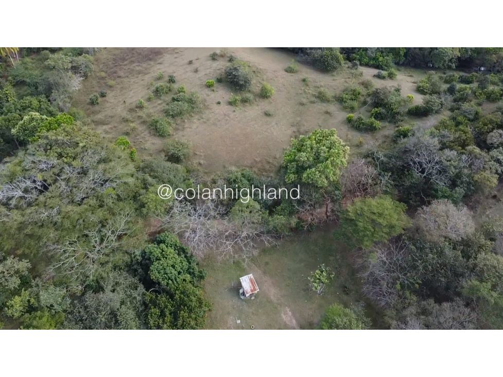 Se Vende Finca Ganadera en Llano Largo, Los Santos - 6
