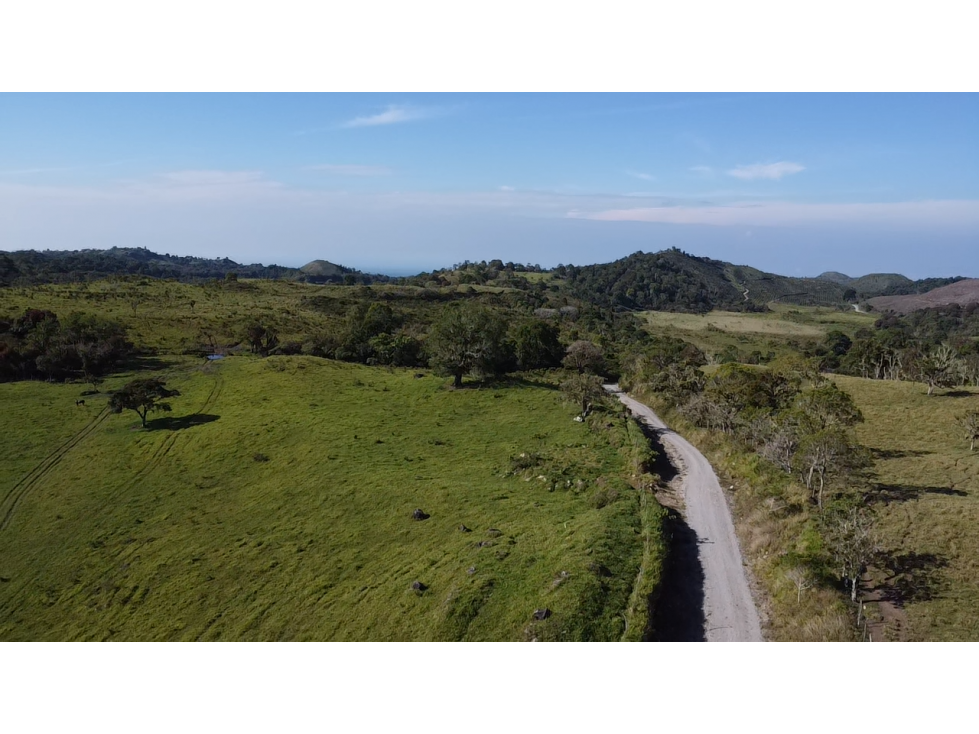Se Vende Finca de 220 Hectareas en Volcán, Chiriquí MLS# 22066 - 6