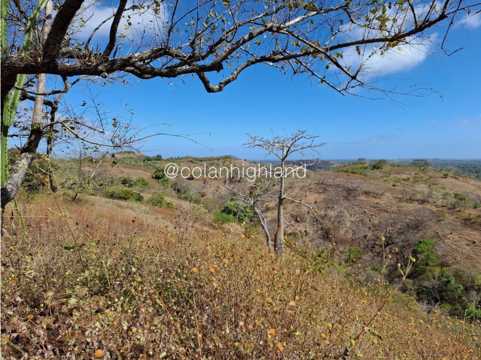 Se Vende Finca en Santa Marta, Las Tablas - 5
