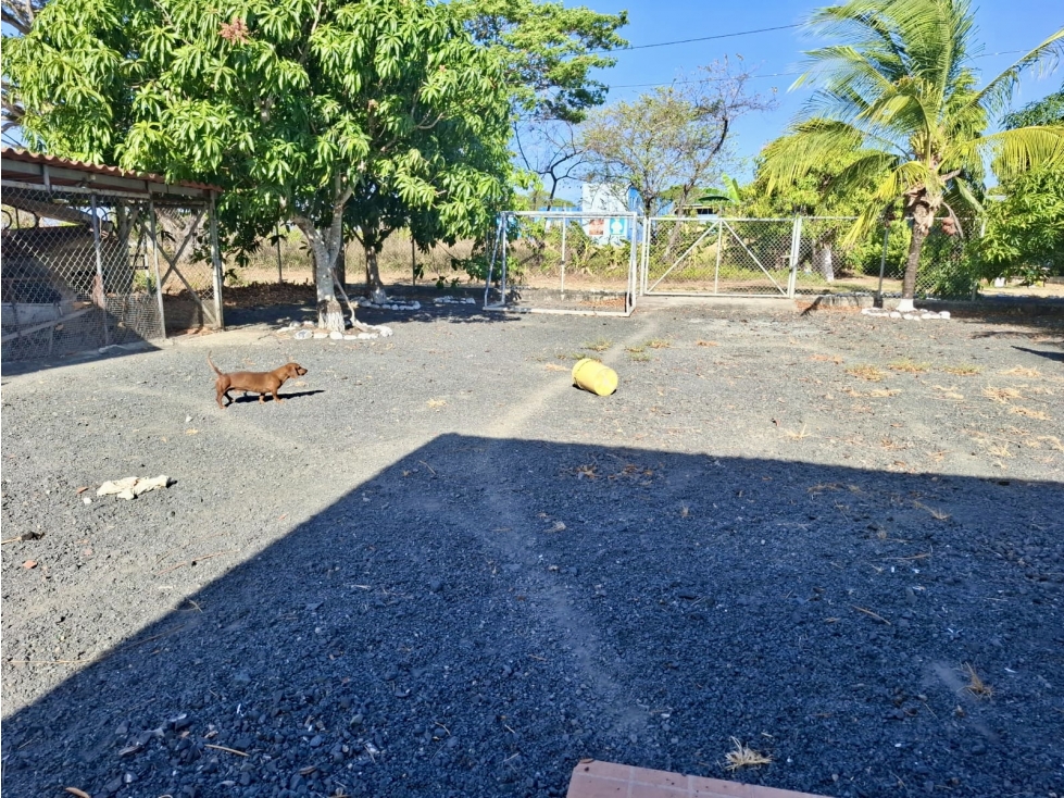 Se Vende Casa en Las Tablas - 5
