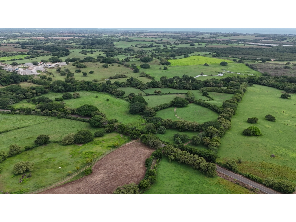 Se Vende Finca en 9.8 Has Via Playa El Uverito, Las Tablas - 6