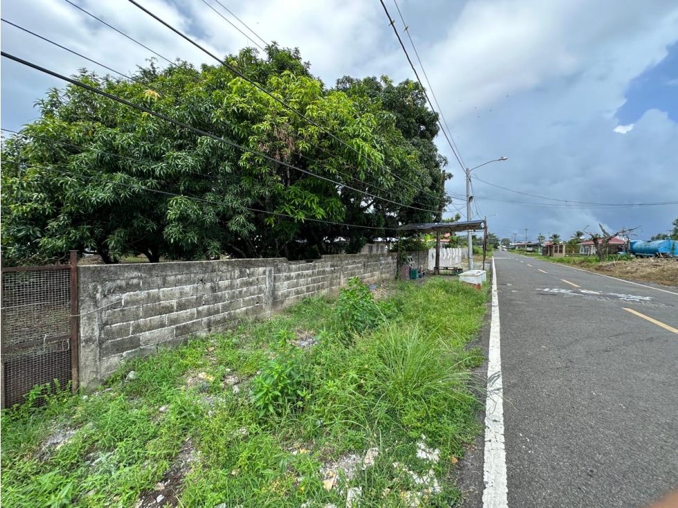 Se vende Terreno con Casa en Pacora — foto 6
