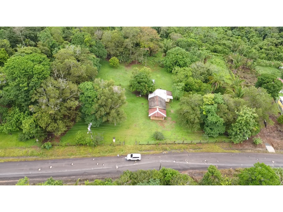 Se Vende Terreno de 8,000m2 en Altos del Espavé, La Chorrera — foto 6