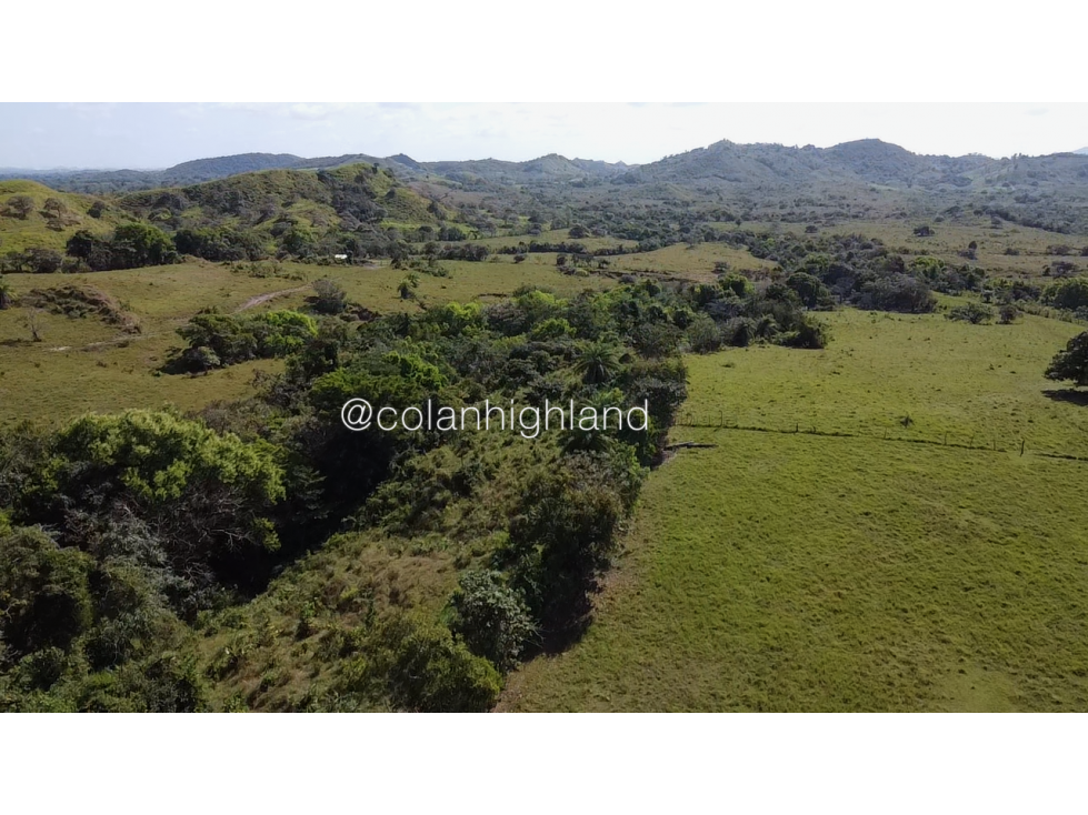 Se Vende Finca de Finca Ganadera de 308.5 ha. en Los Llanos de Ocú - 6