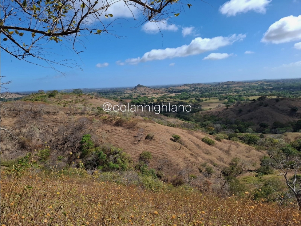 Se Vende Finca en Santa Marta, Las Tablas - 6