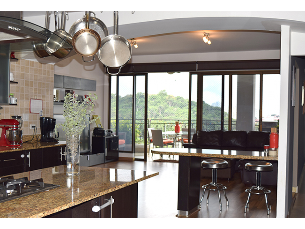 VENTA APARTAMENTO EN AMADOR HEIGHTS — foto 4