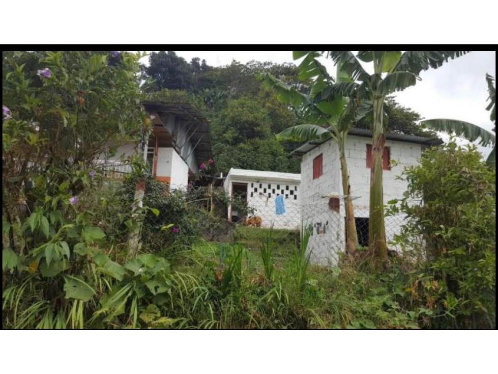 FINCA PARA LA VENTA VEREDA EL CHOCHO