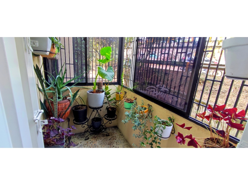 AMPLIO APARTAMENTO EN LOS COLORES — foto 5