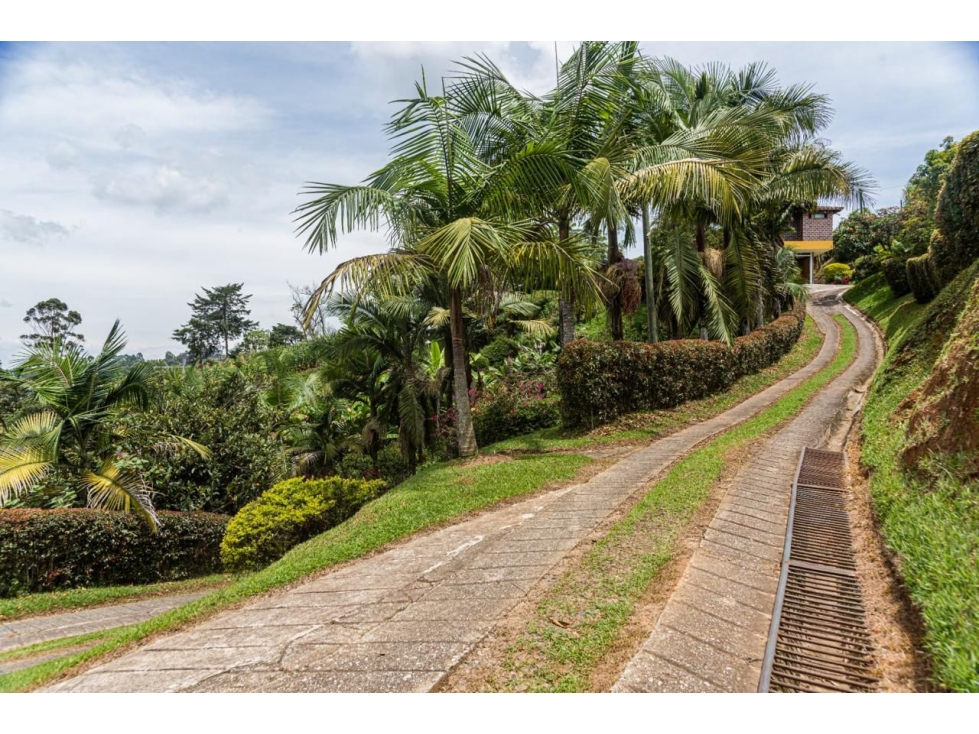 HERMOSA FINCA EN EL CARMEN DE VIBORAL — foto 6