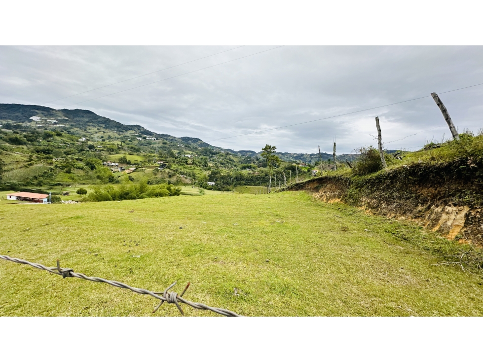 LOTE EN EL PEÑOL-SECTOR VEREDA CHIQUINQUIRA - 2