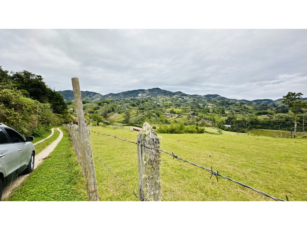 LOTE EN EL PEÑOL-SECTOR VEREDA CHIQUINQUIRA - 3