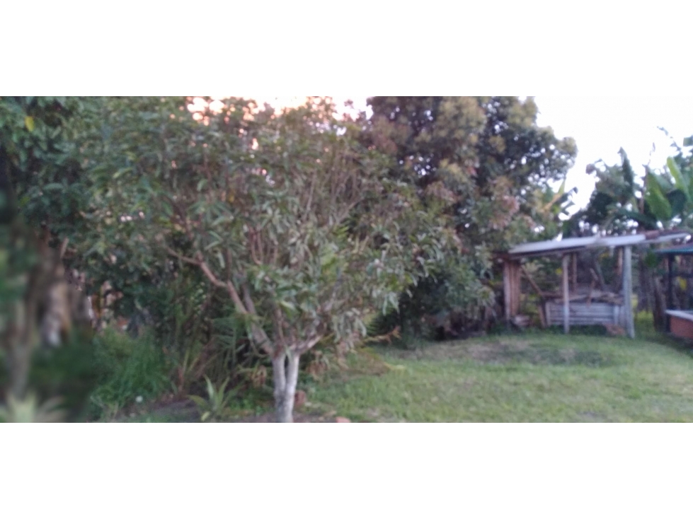 Finca independiente para la venta en Ulloa, Valle del cauca!!! - 6