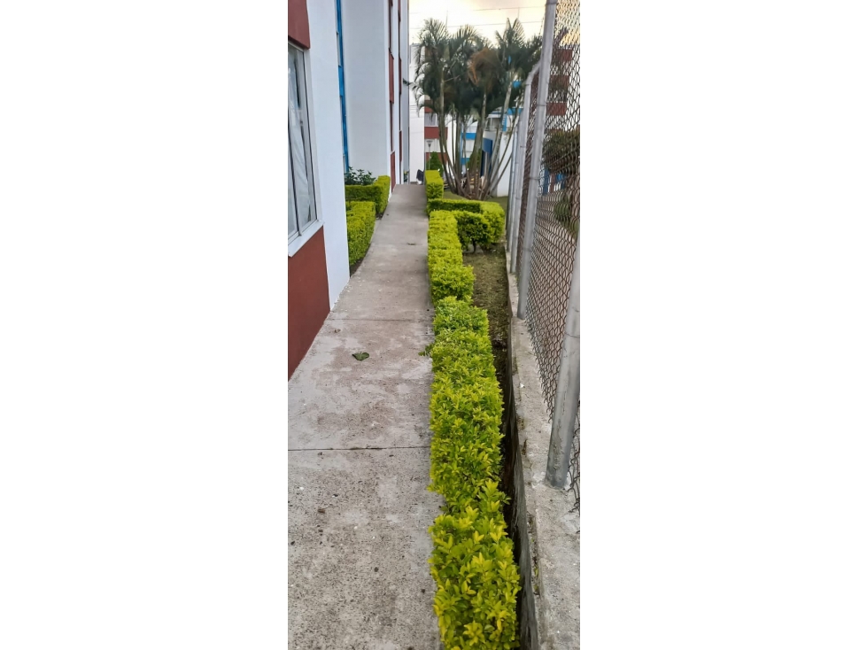 Apartamento en conjunto Loma Linda, sector de la Capilla,Dosquebradas — foto 4