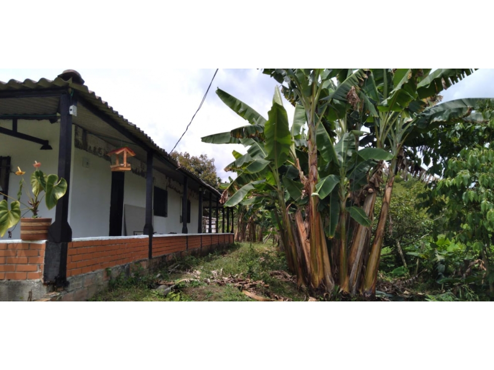 Finca independiente para la venta en Ulloa, Valle del cauca!!! - 5