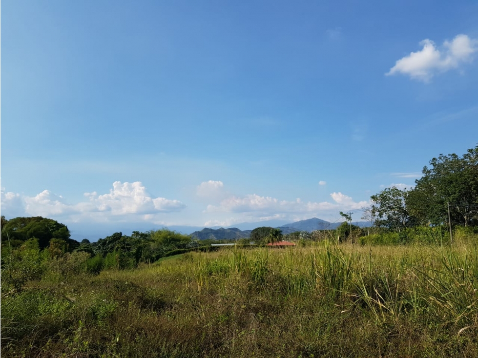 Lote independiente para la venta en Cerritos, Pereira!!! — foto 2