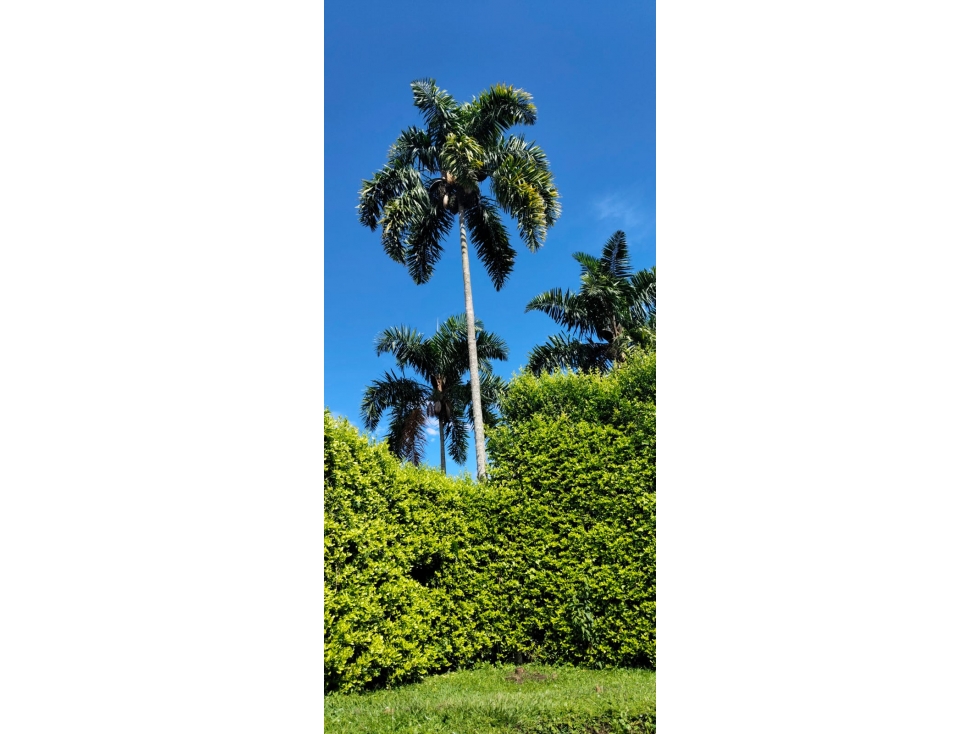 Casa campestre independiente para la venta en la Palmilla, Pereira!! — foto 3