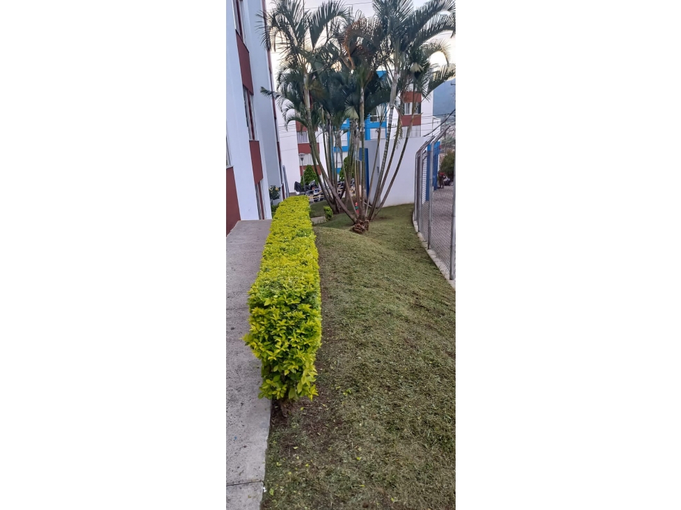 Apartamento en conjunto Loma Linda, sector de la Capilla,Dosquebradas — foto 6