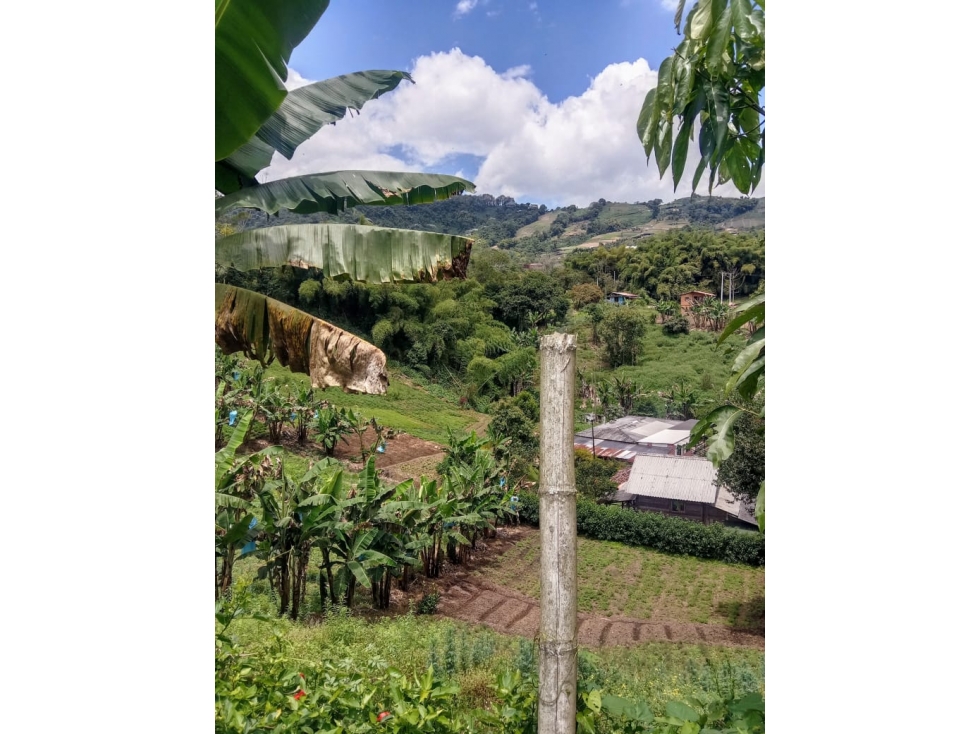Finca para la venta en la Florida, Pereira, Risaralda!! — foto 4