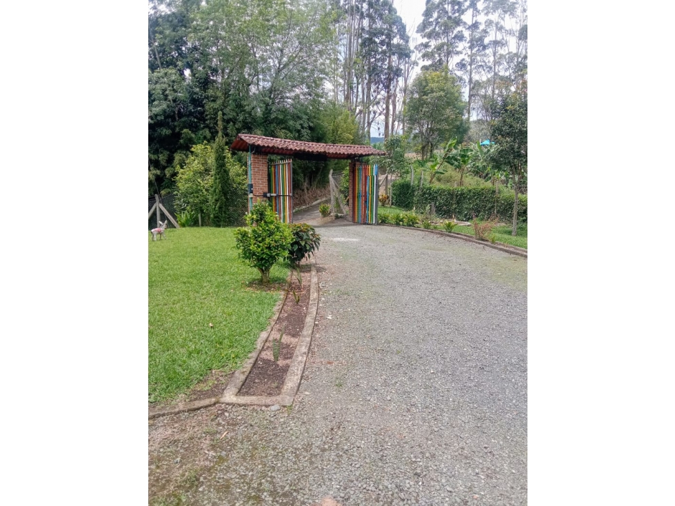 Finca para la venta en la Florida, Pereira, Risaralda!! — foto 3