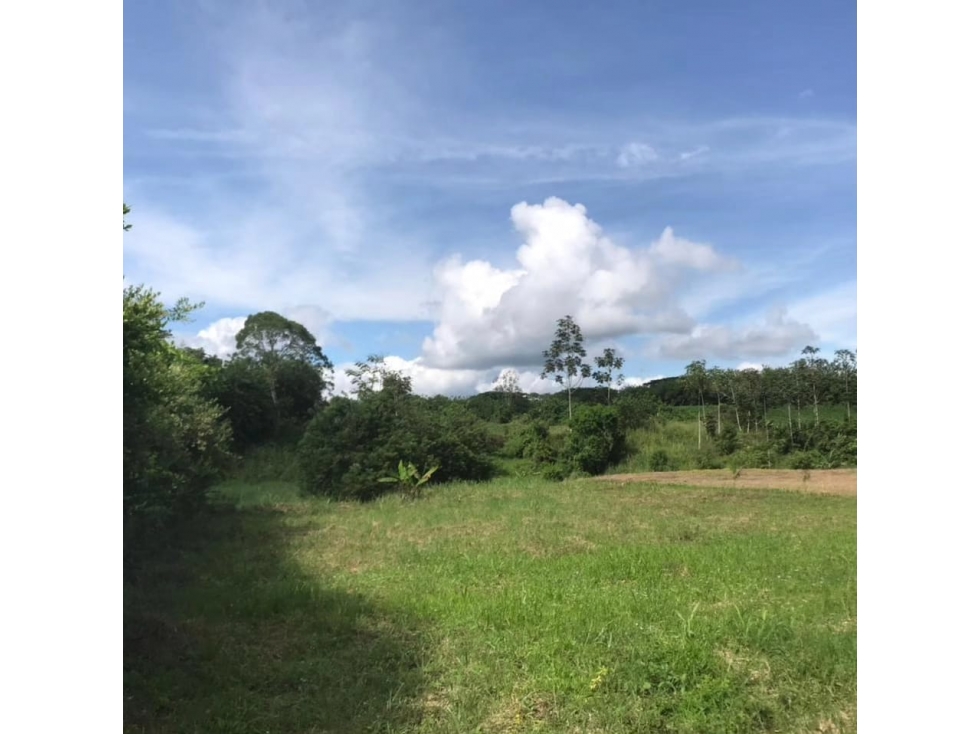Lote para la venta en la vereda los planes cerritos Pereira!!! — foto 2