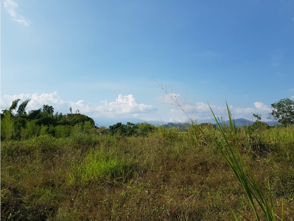 Lote independiente para la venta en Cerritos, Pereira!!! — foto 3