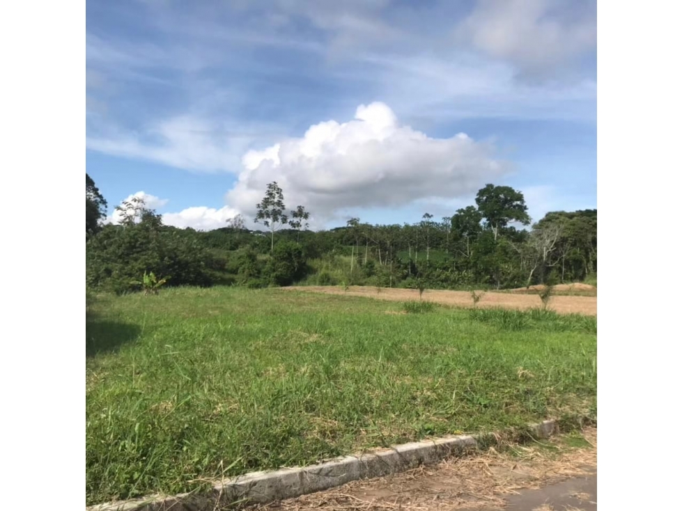 Lote para la venta en la vereda los planes cerritos Pereira!!! — foto 3