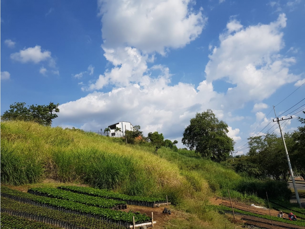 Lote en la Avenida del Sur para la venta, Pereira!!! — foto 4