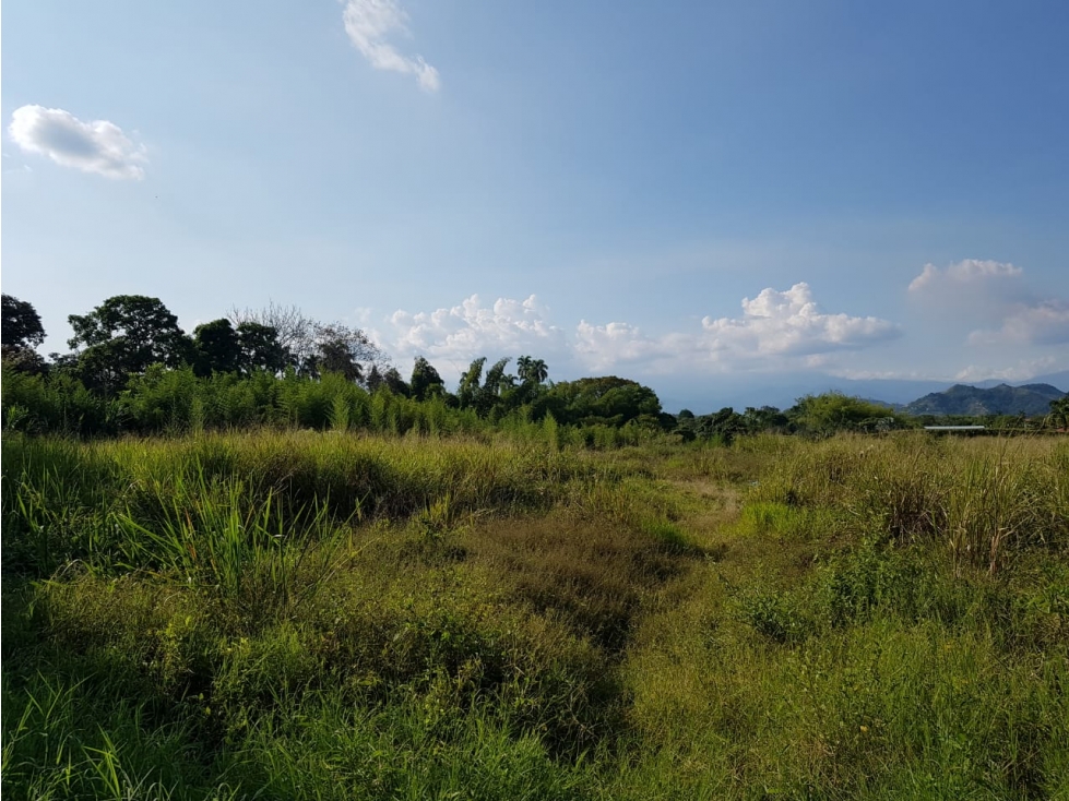 Lote independiente para la venta en Cerritos, Pereira!!! — foto 4