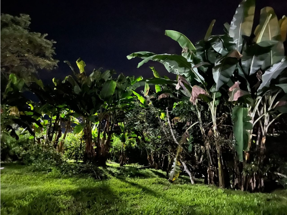 Finca independiente para la venta en Combia, Pereira!! — foto 3