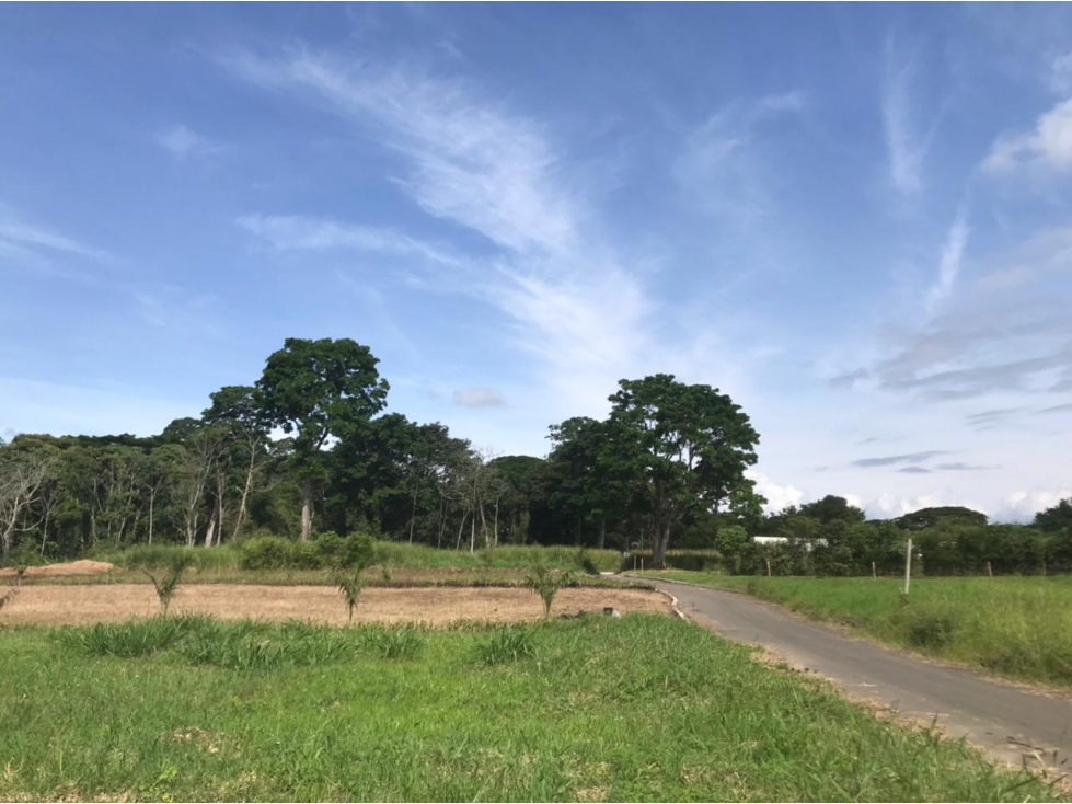 Lote para la venta en la vereda los planes cerritos Pereira!!! — foto 4
