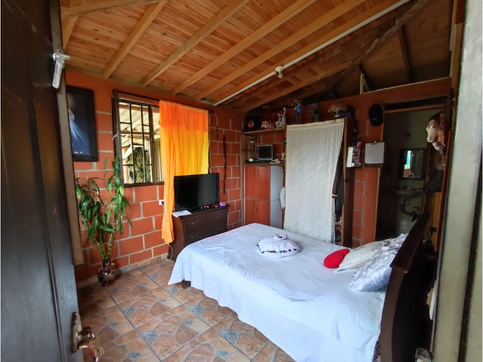 Finca cafetera para la venta en la bella Pereira!!! — foto 5