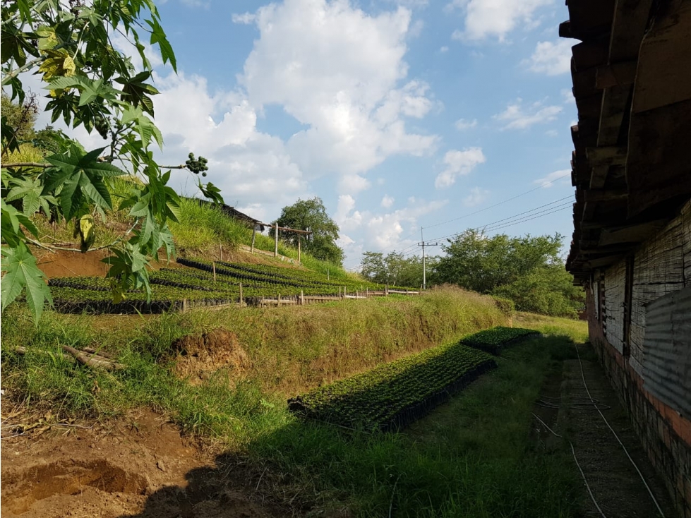 Lote en la Avenida del Sur para la venta, Pereira!!! — foto 5
