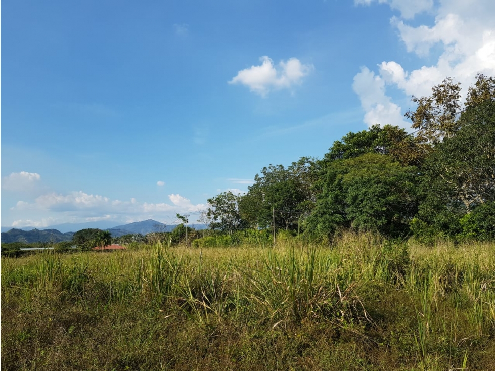 Lote independiente para la venta en Cerritos, Pereira!!! — foto 5
