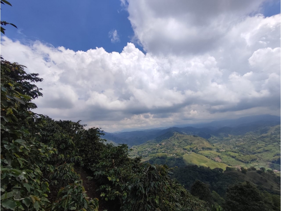 Finca cafetera para la venta en la bella Pereira!!! — foto 6