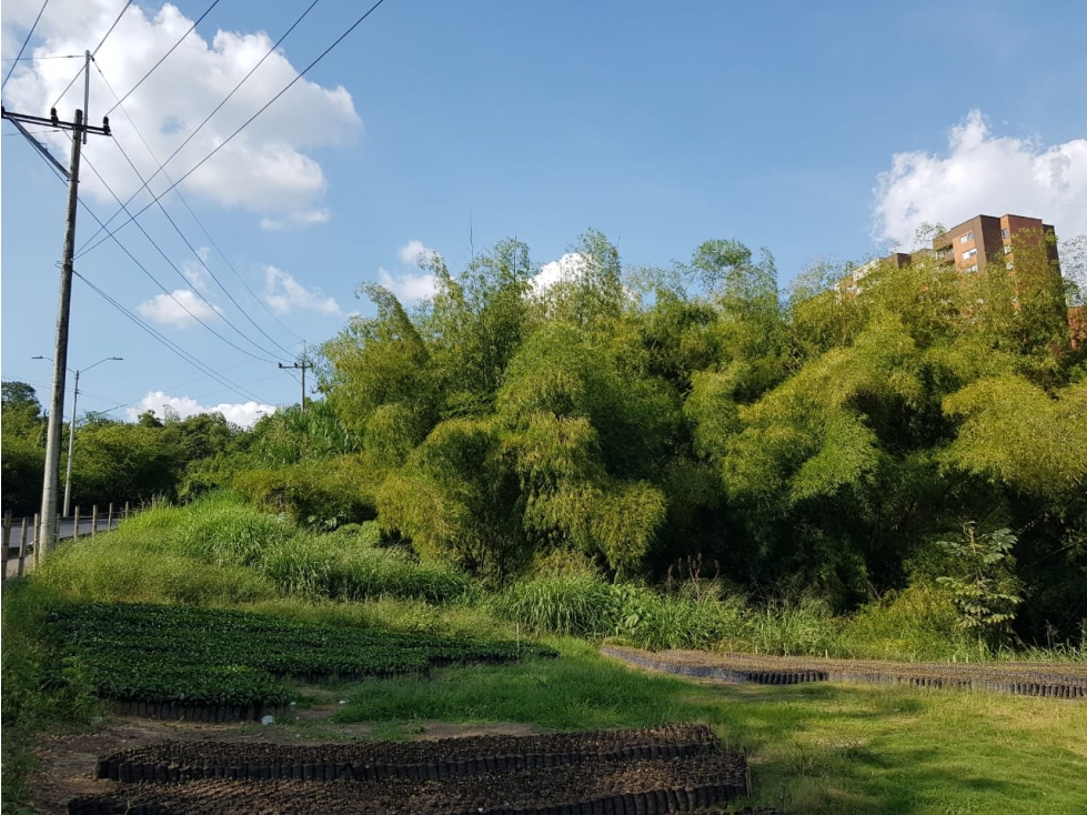 Lote en la Avenida del Sur para la venta, Pereira!!! — foto 6